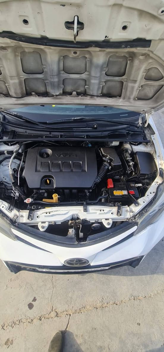 السلام عليكم كورلا مديل 2019 بسمي تحويل ثاني يوم السونار موجود اقراه وبخدمتك السعر ب١٣٣ ورقه وبيها مجال بسيط مكاني بغداد الجديدة الرقم ***********
