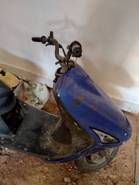 فراشة • اوراق • طافية