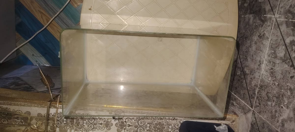 حوض سمك صغير جديد مراوس بسمك زينه الي عنده لايقصر مكاني بغداد حي النصر


**إذا كنت صاحب هذا الإعلان وتريد حذفه لأي سبب، رجاءا أرسل رسالة إلى الدعم الفني**