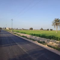 منطقة البصام • ٢٠ دونم • طابو زراعي