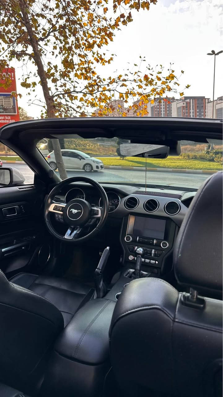 سلام عليكم

للبيع | Ford Mustang EcoBoost Premium 2022 🇺🇸

✨ قمة النظافة - إصدار البريميوم الأعلى مواصفات - وارد أمريكا

🔹 المواصفات الفنية والأداء:

• المحرك: 2300cc EcoBoost Turbo (قوة حصانية ممتازة مع توفير عالي للوقود).

• الجير: 10 سرعات أوتوماتيك.

• أنظمة القيادة: تعدد وضعيات القيادة (سبورت، تراك، ونورمال) لتناسب كل الأجواء.

• الممشى: 60000 ميل (استخدام نظيف خارج العراق).

🔹 الرفاهية والتكنولوجيا:

• المقصورة: كراسي جلد أحمر (كهرباء) مع تدفئة وتبريد.

• الترفيه: شاشة SYNC 3 الكبيرة، تدعم Apple CarPlay و Android Auto مع نظام صوتي محيطي.

• الجمالية: سقف أسود، إضاءة LED كاملة، رنكات 18 إنج أصلية، وجناح خلفي رياضي.

• المميزات الذكية: تشغيل عن بعد، دخول ذكي، إنارة ترحيبية بشعار الموستنج.

🔹 الحالة الميكانيكية والبدن:

• السيارة بحالة الوكالة من الناحية الميكانيكية والكهربائية (افحص وين ما تريد).

• البودي: صبغ باب سكن و شبر جارملغ خلفي بجم كبس بدون دواخل و شاصي.

• الحادث: حادث بسيط جداً في أمريكا (باب الراكب فقط) وبقية السيارة سليمة تماماً.

🔹 ملاحظة للمشتري:

السيارة تمثل التوازن المثالي بين الشكل الرياضي الجذاب والاقتصاد في المصاريف، جاهزة للقيادة ولا تحتاج "دينار واحد" مصروف

مكان السيارة في كركوك

سعر السياره 185 وبيها مجال

متوفر واتساب *********** كركوك, العراق
