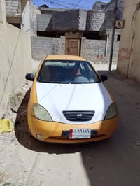 ٢٠١٢ • كربلاء • غرامات مصفره