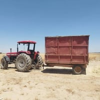 تبن بشريه • مكوم • النميصه