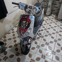 شباب درجة ماكس منغولي البيع  07869373554