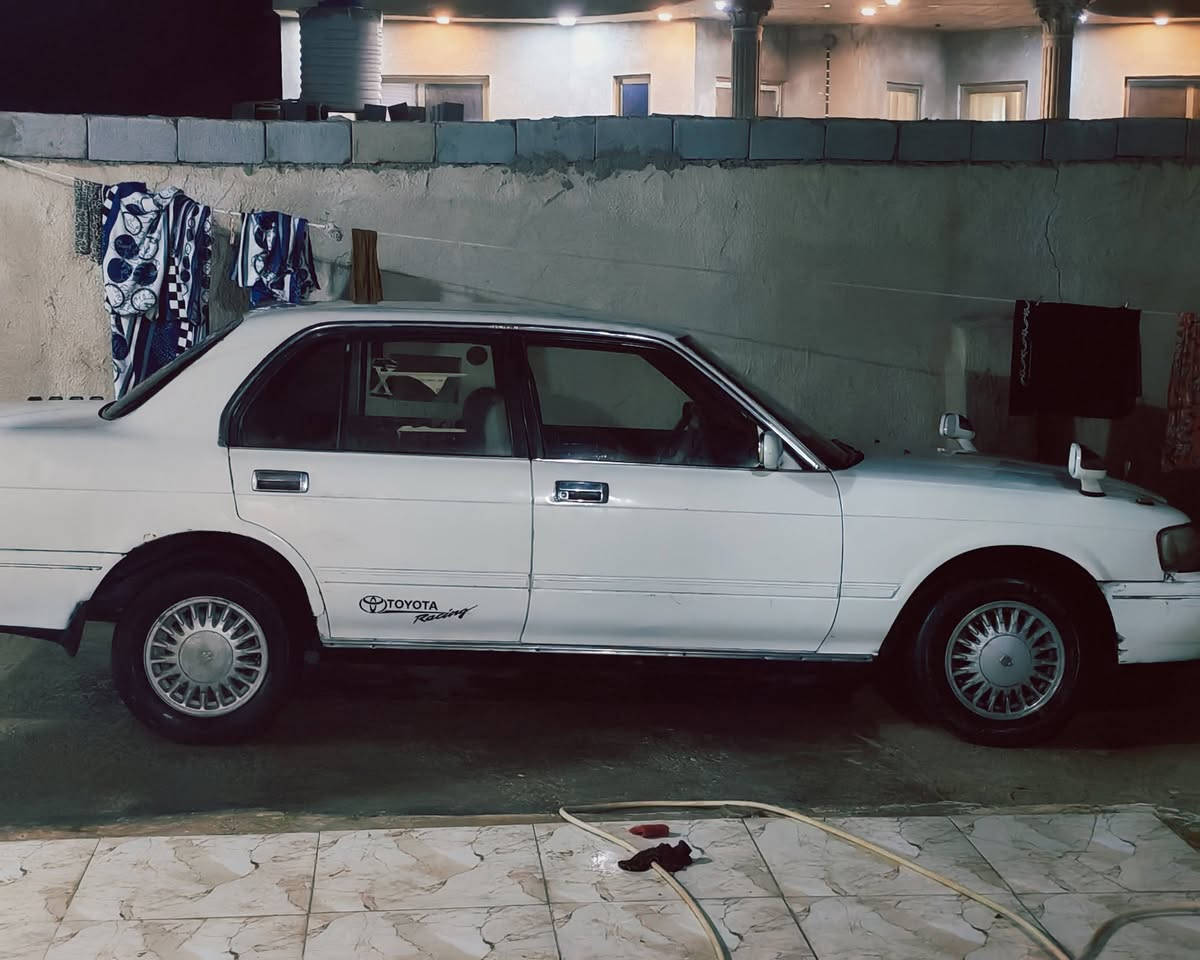 ارنب للبيع ٣٨ وبيها مجال استفسار اتصل واتساب وشريحه 
***********
