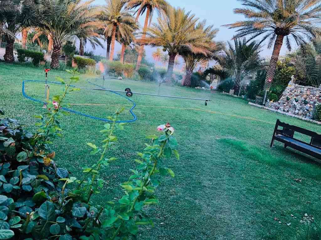 مستعدون لترتيب الحدايق  👨‍🌾🪴وتقليمها وزراعه الاشجار داخل خانقين *********** وبأحدث الاات الزراعيه
