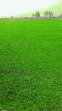 زبائننا الكرام اسعار تنافسيه سارع عله الحجز ابو الكميات سارع عله الحجز...