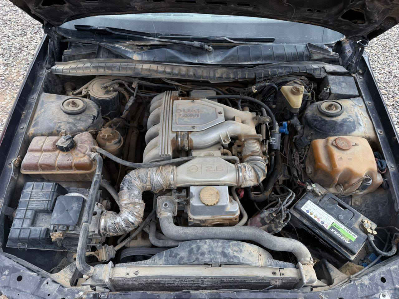 سلام عليكم
اوبل سيناتور موديل 91 للبيع رقم الماني تفليش كلشي بيهه استندر محرك 26 شرط شد واطلع للبصره ،ايرفلو شركه ،باستثناء الگير عندي عاطل،طخم وياله شركه تواير  اسبير ،باقي تفاصيل اتصل ع صاحبها 
‏‪***********‬‏
