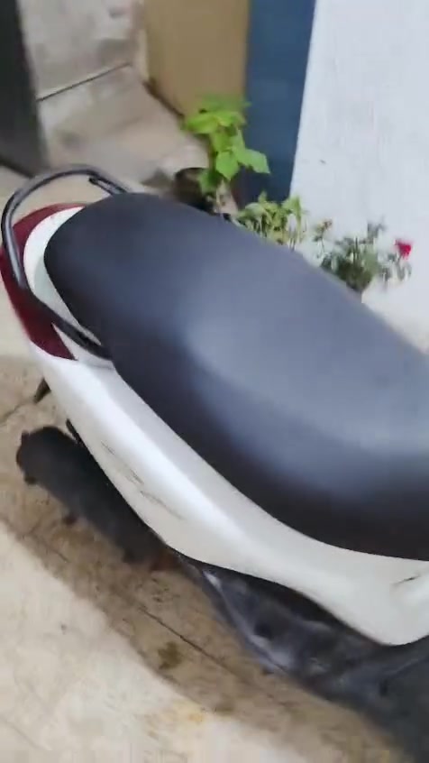 السلام عليكم دراجة فريز لبيع اخت جديده كل نقص مابيها سعر حيل مناسب ب٤٥٠ الف عراقي وبينها مجال بغداد مدينة الصدر قطاع ١٧ هاتف
***********
السلام عليكم دراجة فريز لبيع اخت جديده كل نقص مابيها سعر حيل مناسب ب٤٥٠ الف عراقي وبينها مجال بغداد مدينة الصدر قطاع ١٧ هاتف
