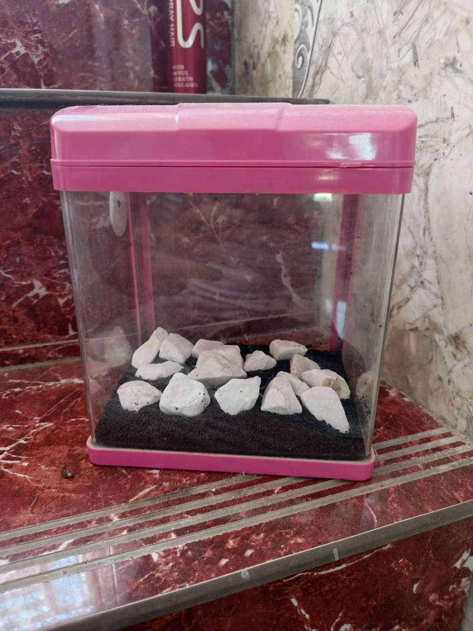 للبيع ب40كامل


**إذا كنت صاحب هذا الإعلان وتريد حذفه لأي سبب، رجاءا أرسل رسالة إلى الدعم الفني**