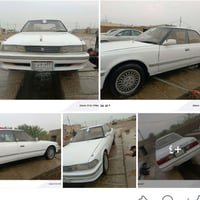 الناصريه • مكفوله • زنون عالي