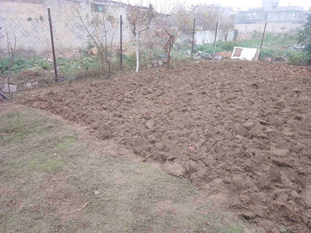 السلام عليكم 

عندك بناء و تحتاج الى كادر عمال وانشاء الله ما انقصر معاكم 

تصفيط بادلو 

تنظيف البيت من الانقاض

توزيع مواد داخل البيت 

صب دنك او قسطل 

بناء قسطل لبخه 

تقشيط جدران 

صب ارضية بيت 

صب رمبه باب الكراج 

خابر ودلل 

***********  واتساب 

***********
