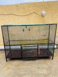 قفص • ١م×١٫٥م • زويريجات