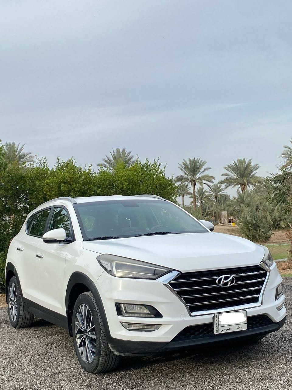 السلام عليكم
توسان خليجي 2020 رقم بابل
مكفوله  فول عدا البانوراما 
ماشيه 79   قابل للزيادة
مكانها حله
موبايل/ ***********
***********
