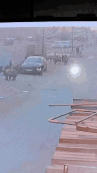 فيوجن تيتانيوم • ٢٠١٧ • ٢٠٠٠ تيربو