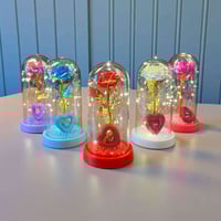 وردة مضيئة • هدية رومانسية • توصيل بغداد