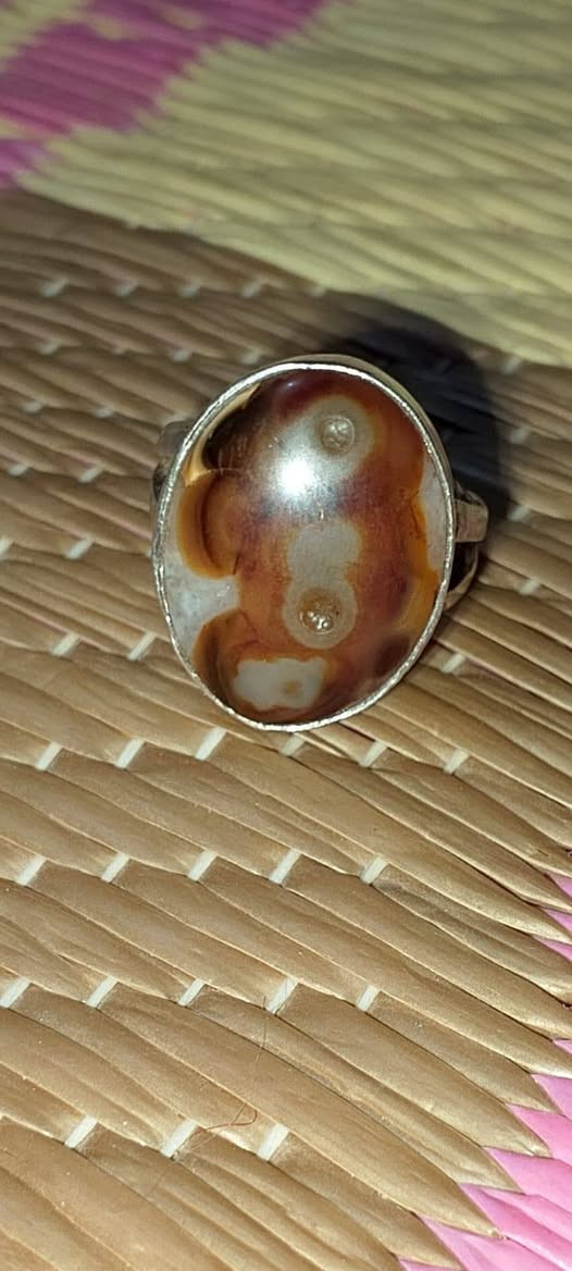 محبس لبيع امكان واسط


**إذا كنت صاحب هذا الإعلان وتريد حذفه لأي سبب، رجاءا أرسل رسالة إلى الدعم الفني**