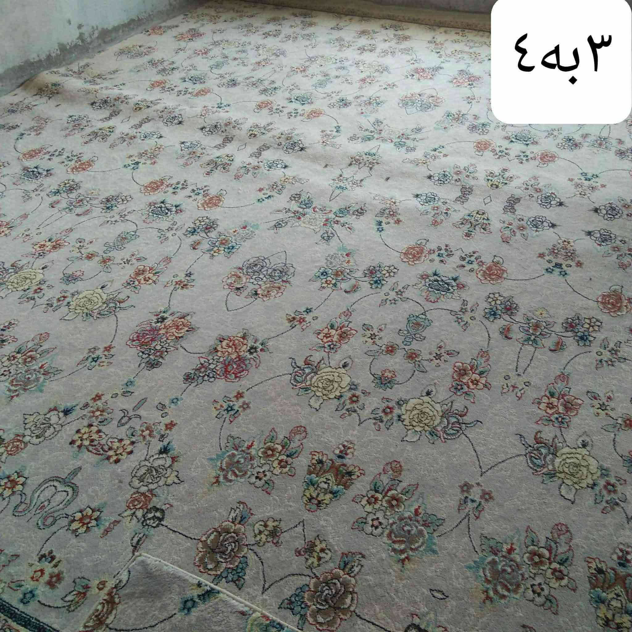 سڵاو🦋
فەرشی ئێرانی مەتر🌟
مەتری ١٥ هەزاریان پێ دراوە🌟
قیاسیان🌟
٤/٦🌟
٣/٥🌟
٣/٥🌟
٣/٣🌟
٣/١،٥🌟
دوجار شۆردراون🌟
تازەو بی عەیبن🌟
نرخیان ٣٨٠ هەزار🌟
چوارقورنە📍
,,,,,,,,,,,,,,,,,,,,,,,,,,,,,,,,,,,,,,,,,,,,,,,,,,,,
ئێوەش هەر كاڵایەكتان هەیە بنێرن🛍️
 لەهەرشارێکن🌎‌
 ناوتان دەرناکەوێت🥷
بەزوترین کات🕰️
بۆتان ئەفرۆشین بەنرخی گونجاوو
هەرزانتر و بە ویژدانترین ترین بەیچین
فۆڵۆی پەیجەكەم بكەن سوپاستان ئەكەم🙏


**إذا كنت صاحب هذا الإعلان وتريد حذفه لأي سبب، رجاءا أرسل رسالة إلى الدعم الفني**