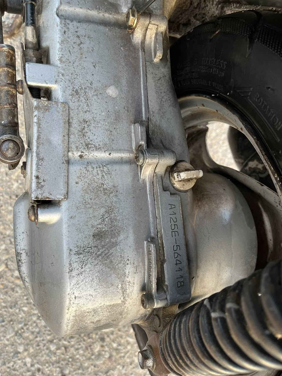 دراجه عصفوريه للبيع
دراجه جانت متروكه وهسه جفتته
الله شاهد 
دراجه كامله بس كفراته مثل ماشوفون بصور ذني نضافتهن 
يرادلهن ترتيبات 
دراجه كهرباءياته كامله 
لايتات اشاير كلشي شغال ماملعوب بيهن 
شغاله سلف وهندر بس باتريه شويه تعبان 
مكان الدراجه ناصريه :الأسكان صناعي 
الرقم : ***********
ارد عل واتساب فقط
سعر الدراجه :250وبيه مجال حك الجيه
