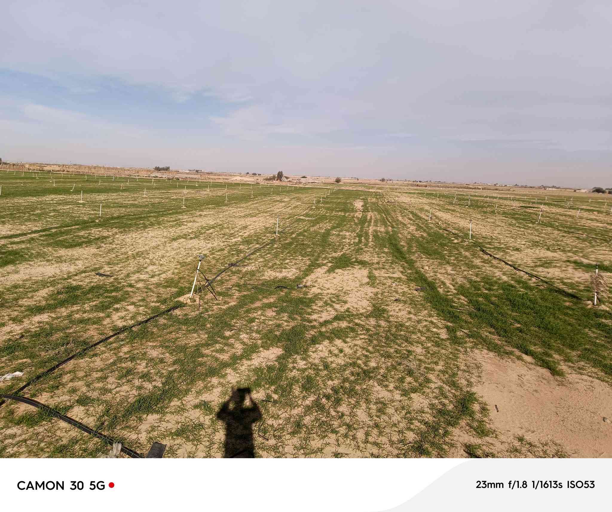 مزرعه للبيع مساحه 50دونم يوجد 600 شيش حديد وكهرباء واصله ومحرك السعر خاص هاتف***********8
***********
