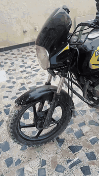 بوكسر موديل 22 • بدون أوراق • مكاني شعب