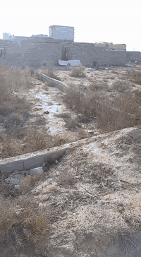 قطع لبيع خلف ابو رعد ابو السراميك
 وحده 200 رابع وحده عن الشارع ال عواد
و400 خلف ابو رعد ماء +كهرباء شارع 10 امتار
***********
