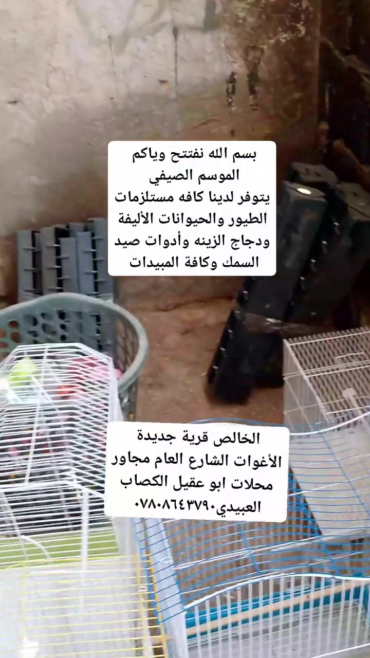يتوفر لدينا كافه مستلزمات الحيوانات الطيور ودجاج الزينه 
و البلابل 
ادوات صيد السمك 
ومبيدات الحشرات داخل وخارج المنازل 
العنوان ديالى الخالص قرية جديدة الأغوات الشارع العام طريق جسر السنديه مجاور محلات ابو عقيل الكصاب العبيدي***********
