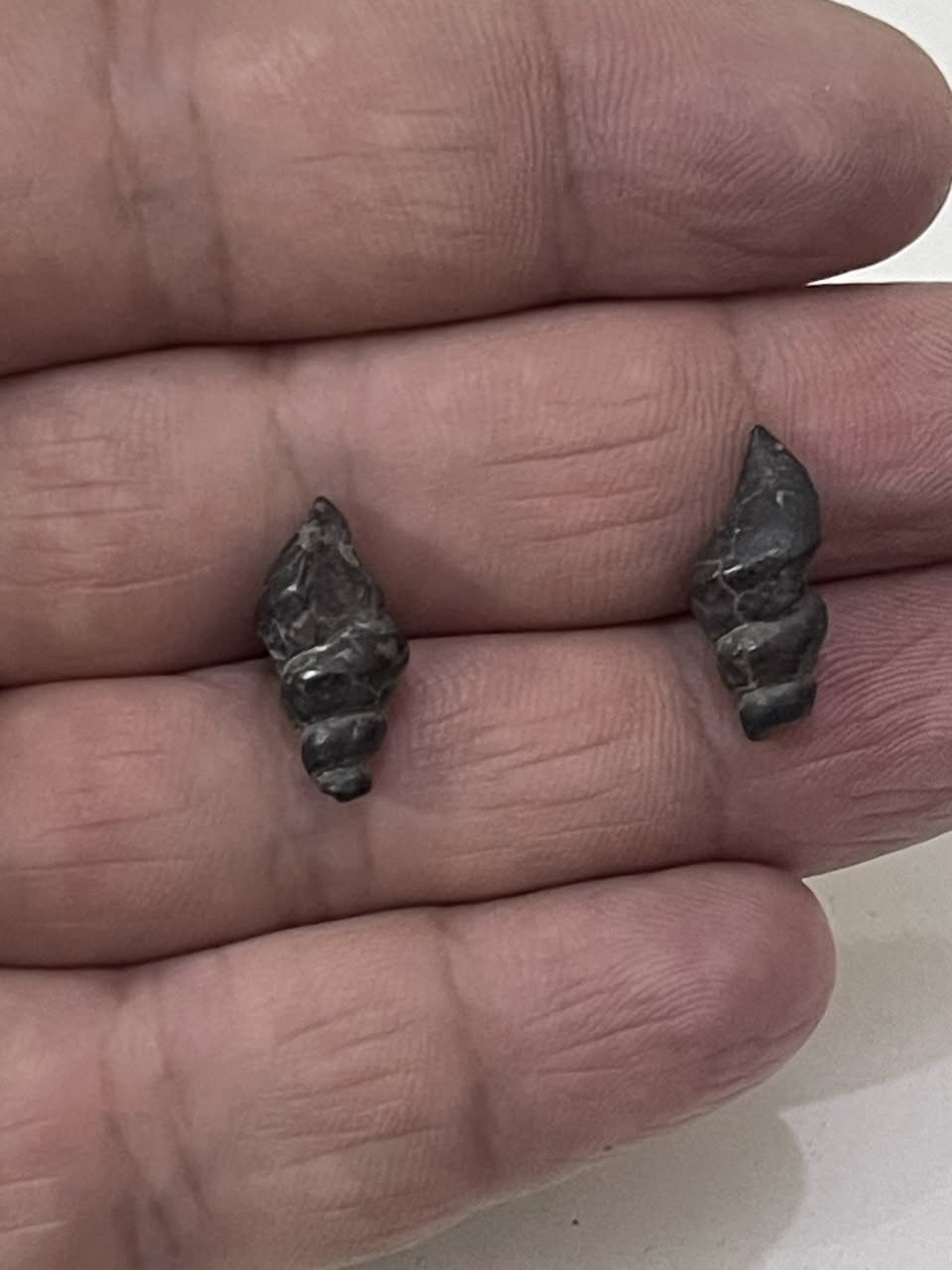 سلام عليكم شباب
حجره الوي هبهاب سعره قطع 5الف ➗حجره عطف بحري سعره 3 الف ➗سليماني احمر سعره 5 الف ➗داودي مال يمن سعره قطع 5 الف ➗سليماني احمرسعره 5 الف ➗حجره التبت سعره 5 الف ➗سليماني اسود موعطف سعره 10 الف ➗شابوري كبيره وصغره سعره قطع 5 الف ➗يماني موصوره سعره 10 الف ➗كصبه سلماني سعره 5 الف لاء يوجد توصيل مكاني بغداد قريب عله كراج نهضه


**إذا كنت صاحب هذا الإعلان وتريد حذفه لأي سبب، رجاءا أرسل رسالة إلى الدعم الفني**