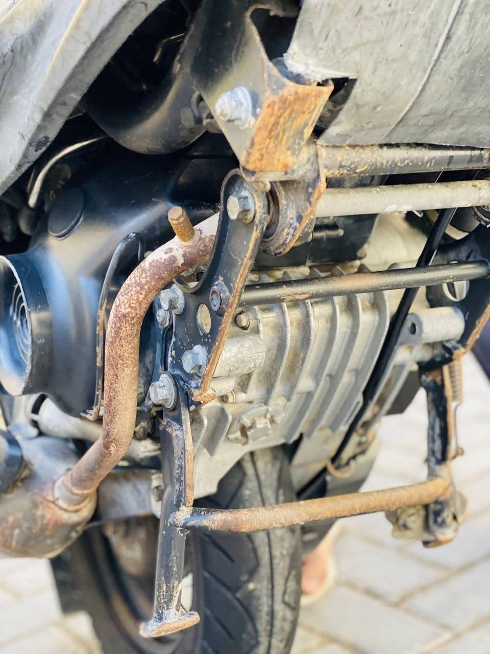 السلام عليكم
ماكس عدلة لبيع مال رمبة السعر 750وبيها مجال 

مكاني بغداد الجديدة 

***********
