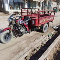 ستوته • موديل 15 • اوراق كامله