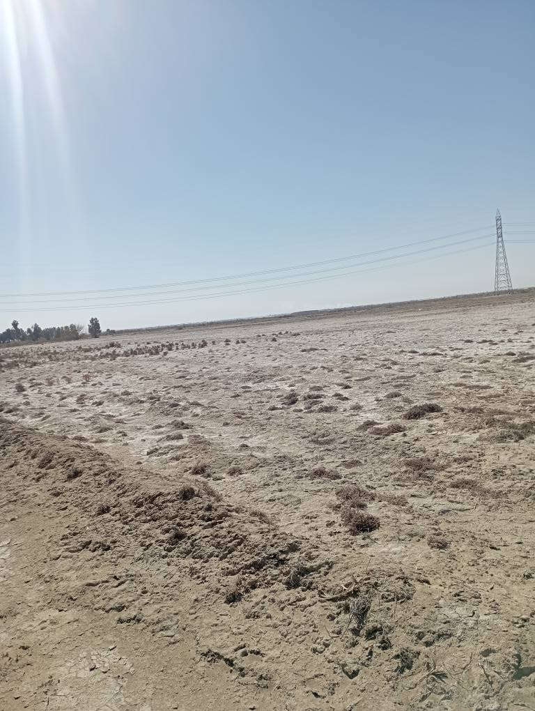 سلام عليكم يتوفر 45دونم عقد زراعي منطقة الفندقية قرب العلوية ام حمدان عقد 35   بسعر 110مليون    يتوفر هيكل مسقف مئسس ماء كهرباء مجاري مساحة 600متر ملك صرف قرب سيطرت الاثار حي المرتضى شار الصيدلي الي يحب تفاصيل اكثر على وتساب لتواصل *********** حلة, بابل
