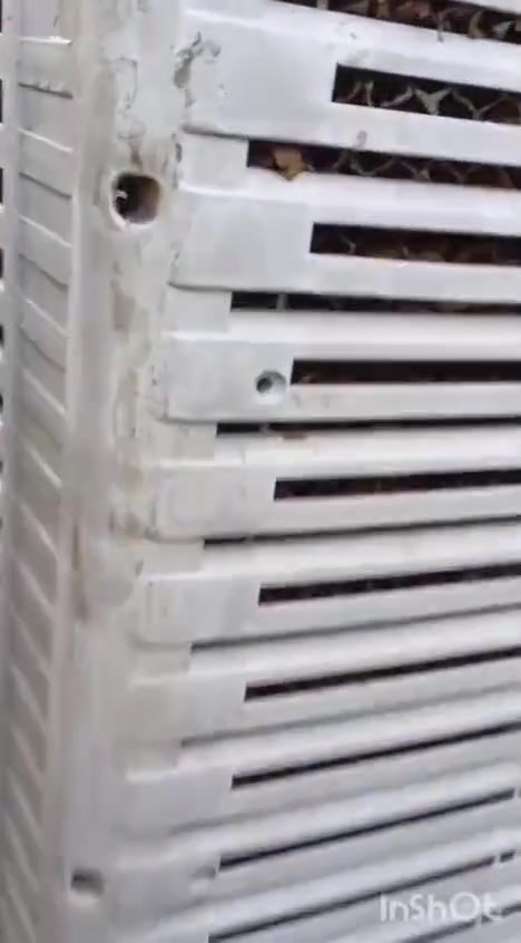 مبرده نظيفه وشغاله للبيع السعر ١٢٥ الف بي مجال  العنوان بغداد دوره طعمه


**إذا كنت صاحب هذا الإعلان وتريد حذفه لأي سبب، رجاءا أرسل رسالة إلى الدعم الفني**