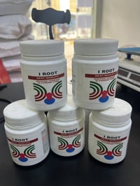 مجذر للنخيل • جملة ومفرد • ذي قار الفجر