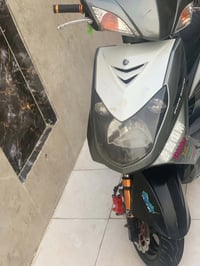شباب سكنس فحل مكفولة كفالة عامة كفر ومكينةللبيع فقط سعر مليون و100 وبي...