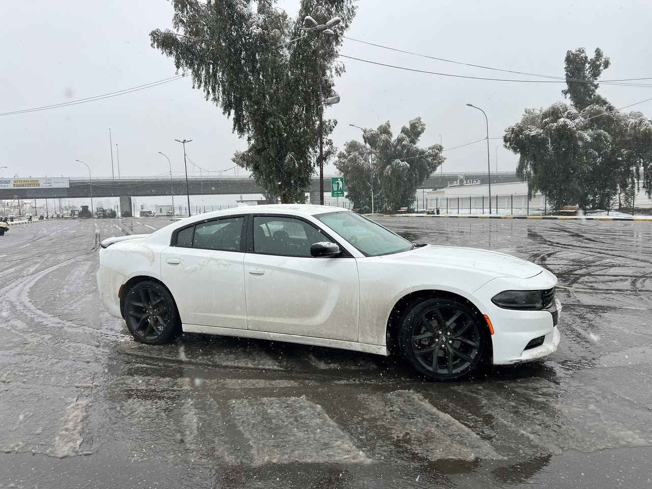 جارجر النداء الاخير 

Sxt  بلاك توب بلاك ادشن 

 شاشة جبيرة 

حساسات 

نظام سستم صوت الباين 

اني مستوردها  بشهر العاشر دخلت 

حادث بسيط مكفوله من التبديل والفتح . 

تصليح درجة اولى 

لايت اصلي ودعامية اصليه وجميع الملحقات  اصليه  

صبغ شبر بلجاملغ بدون معجون كارت وشبر خشم البونيد. مبين بصور الحادث 
رقم اربيل بسمي


**إذا كنت صاحب هذا الإعلان وتريد حذفه لأي سبب، رجاءا أرسل رسالة إلى الدعم الفني**