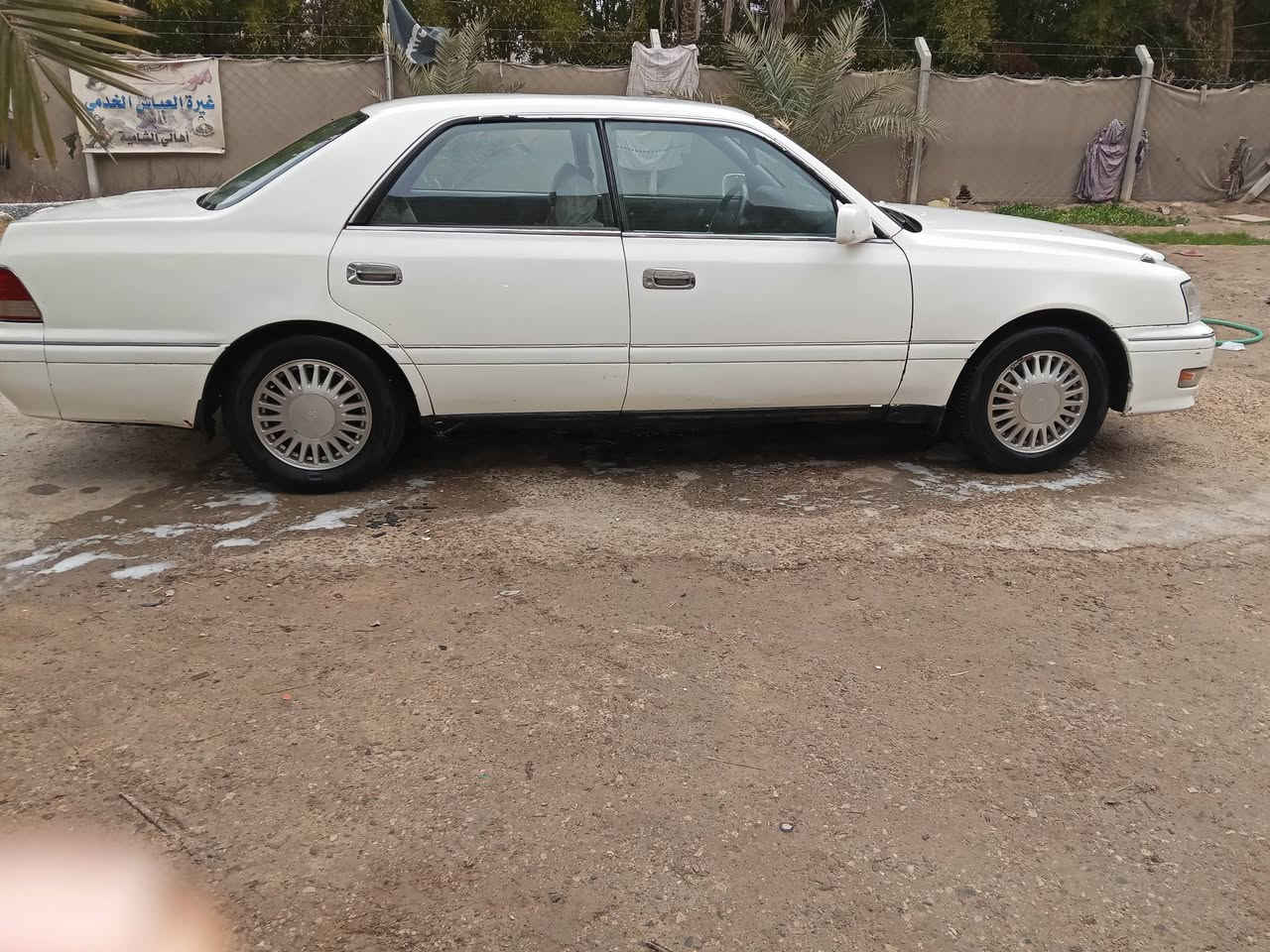 راس الثور للبيع موديل 97 مكينه 3000 الرقم انكليزي سنويه 2030 باسمي مداور ثاني يوم السعر 90 وبي مجال *********** ديوانيه قضاء الشاميه
