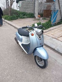 فينو • بوتين • امراوس