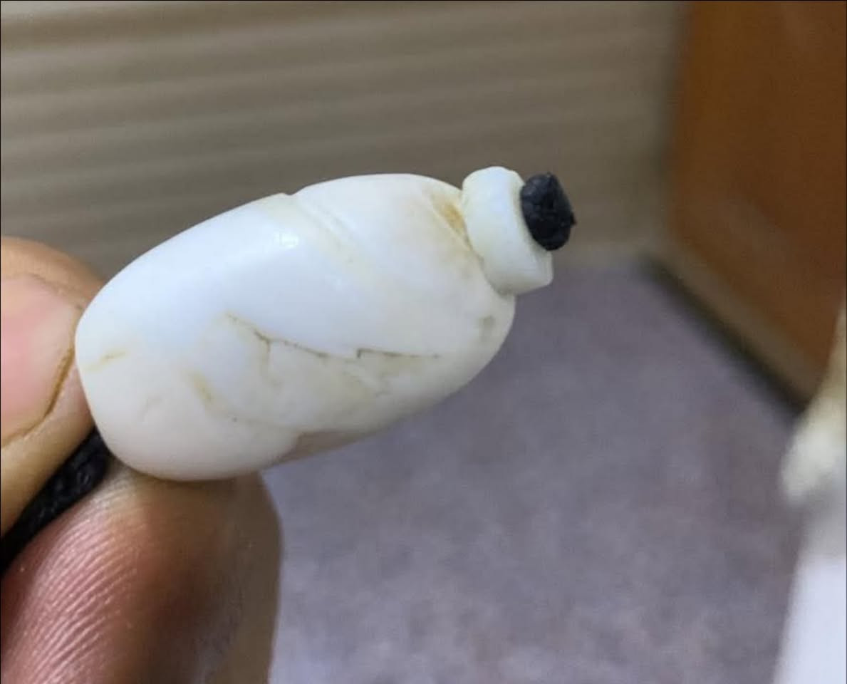 البيع


**إذا كنت صاحب هذا الإعلان وتريد حذفه لأي سبب، رجاءا أرسل رسالة إلى الدعم الفني**
