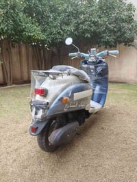 عبدالحليم كله بلادي 550  07709518933