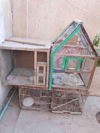 ٣ أقفاص • تكريت الزهور