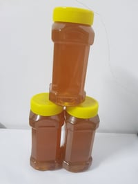 عسل • شوكيات • موصل
