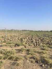 دونم طابو صرف للبيع الواجهة ٣٥ متر في منطقة الرغيلة يبعد عن شارع الرغي...