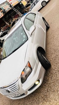 افلون ٢٠٠٨ • كندي • أربيل