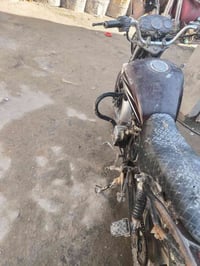 دراجة دايون • مكفولة • كربلاء