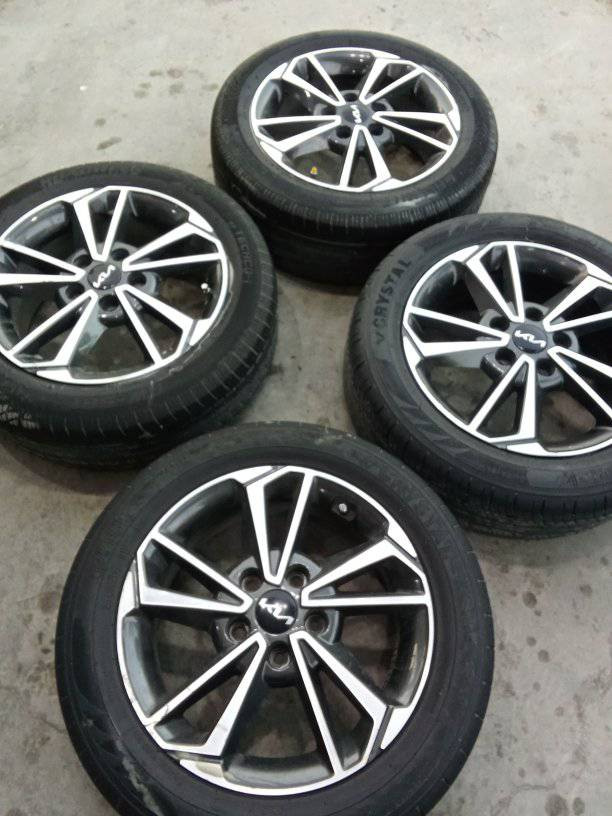 تخم ويل كب فورتي سيراتو أصلي شركة العنوان بغداد الشعلة ***********
***********
