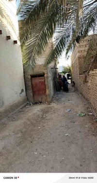 قرب الشاميه المكبس • ١٥٥م • طابو صرف