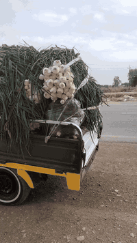 ستوته 2019 • ضمان عام • مكينة 2025