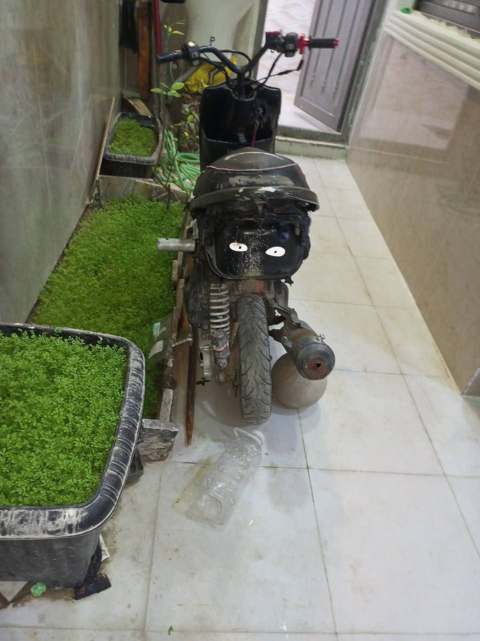 ماكس عدله للبيع او مراوس ءي شي حتلو اطيك فرق درجه بدلت بيهه فيت بم مال بانزين وبعد ماشتخلت بس اكفلك محرك وشاصي وروله لا بيع قفل من لخير لا تعمل ابد قفل قفل 200الف دراجه بيه كشن أربع ولفات مكاني كربلاء حي لحر قرب مجمع ليمونة


**إذا كنت صاحب هذا الإعلان وتريد حذفه لأي سبب، رجاءا أرسل رسالة إلى الدعم الفني**