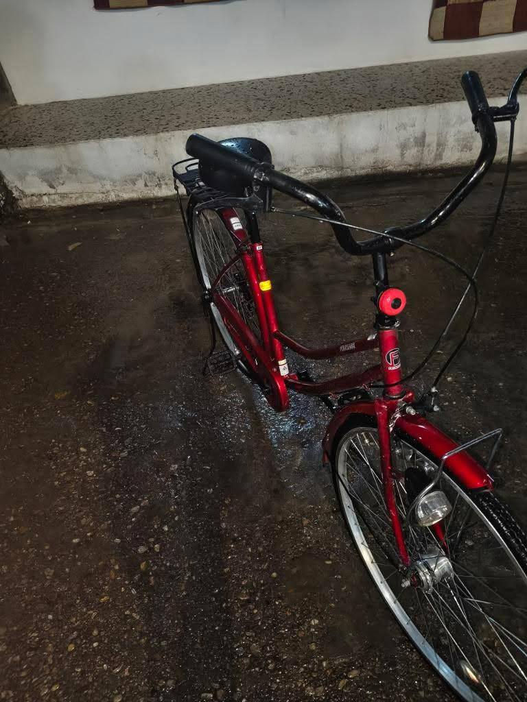 باسكل للبيع السعر 110 بي مجال حجم 27 حساس رقم التلفون ***********
