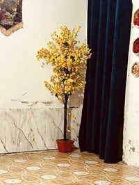 ديكور بيت • بيع جملة • عرض خاص